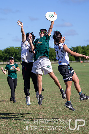 Day 4 at the 2025 WFDF Pan American Ultimate Championships