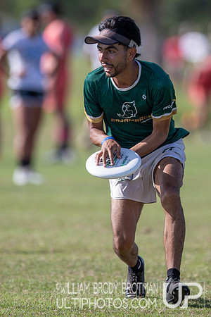 Day 4 at the 2025 WFDF Pan American Ultimate Championships