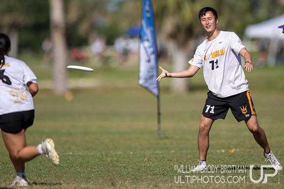 Day 4 at the 2025 WFDF Pan American Ultimate Championships