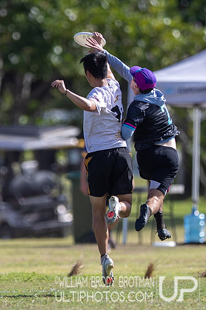 Day 4 at the 2025 WFDF Pan American Ultimate Championships