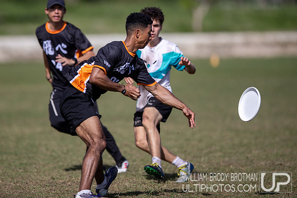 Day 4 at the 2025 WFDF Pan American Ultimate Championships
