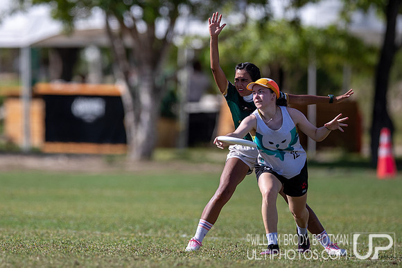 Day 3 at the 2025 WFDF Pan American Ultimate Championships