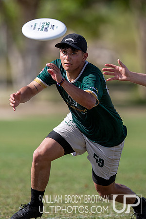Day 3 at the 2025 WFDF Pan American Ultimate Championships