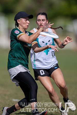 Day 3 at the 2025 WFDF Pan American Ultimate Championships