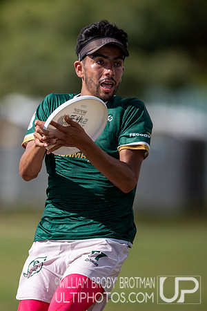 Day 3 at the 2025 WFDF Pan American Ultimate Championships