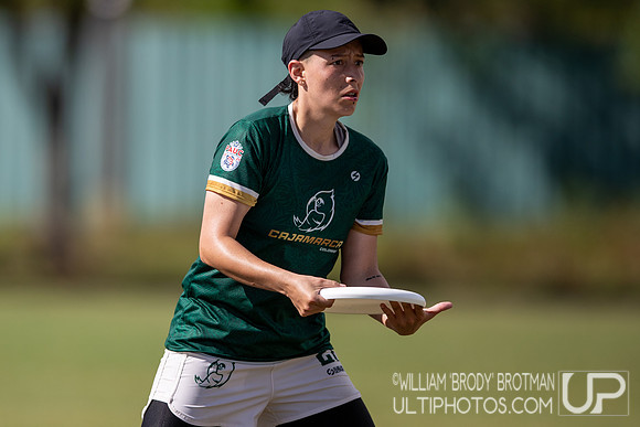 Day 3 at the 2025 WFDF Pan American Ultimate Championships