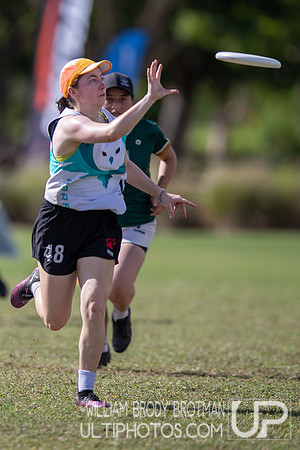 Day 3 at the 2025 WFDF Pan American Ultimate Championships