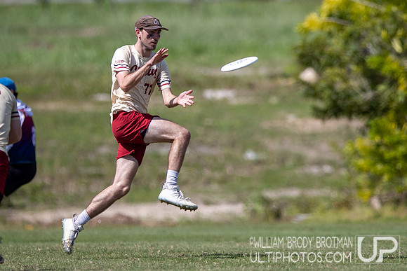 Day 3 at the 2025 WFDF Pan American Ultimate Championships