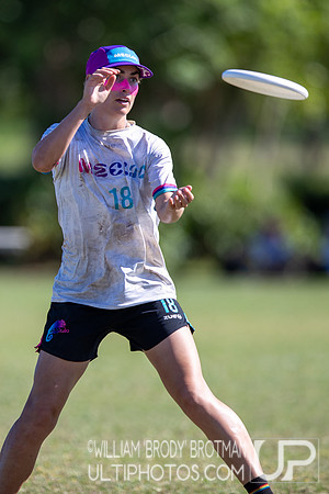 Day 3 at the 2025 WFDF Pan American Ultimate Championships