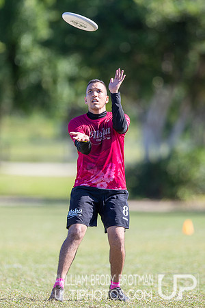Day 3 at the 2025 WFDF Pan American Ultimate Championships