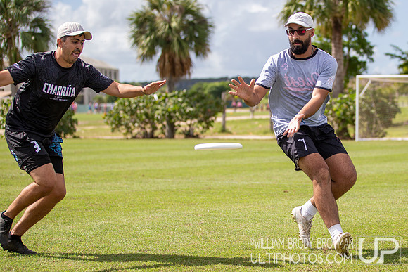 Day 2 at the 2025 WFDF Pan American Ultimate Championships