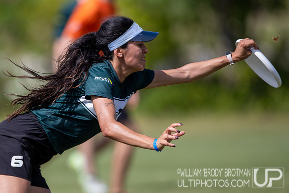 Day 2 at the 2025 WFDF Pan American Ultimate Championships