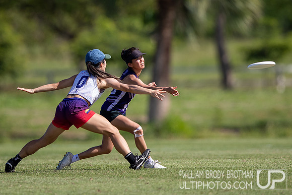 Day 2 at the 2025 WFDF Pan American Ultimate Championships