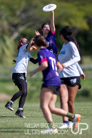 Day 2 at the 2025 WFDF Pan American Ultimate Championships