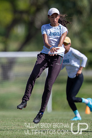 Day 2 at the 2025 WFDF Pan American Ultimate Championships