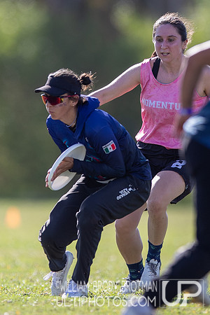 Day 2 at the 2025 WFDF Pan American Ultimate Championships