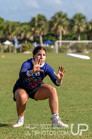 Day 2 at the 2025 WFDF Pan American Ultimate Championships