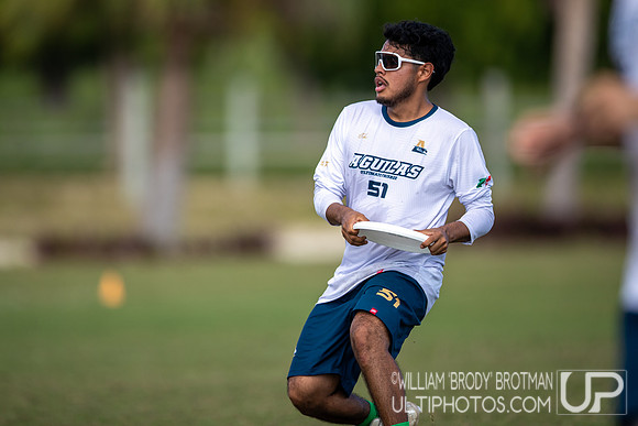 Day 2 at the 2025 WFDF Pan American Ultimate Championships