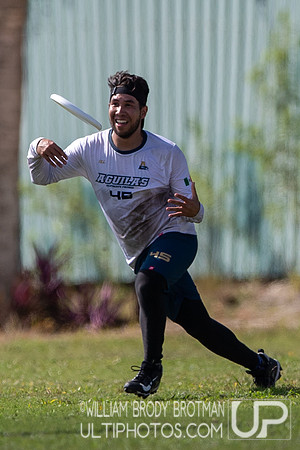 Day 2 at the 2025 WFDF Pan American Ultimate Championships