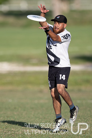 Day 2 at the 2025 WFDF Pan American Ultimate Championships