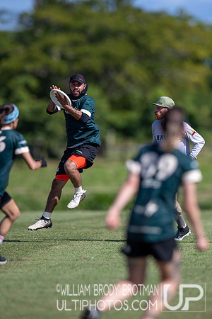 Day 2 at the 2025 WFDF Pan American Ultimate Championships