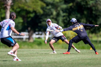 Day 2 at the 2025 WFDF Pan American Ultimate Championships