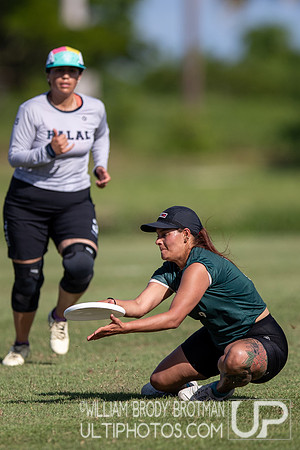 Day 2 at the 2025 WFDF Pan American Ultimate Championships