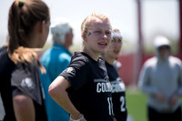 Pool Play - USA Ultimate DI College Championships 2015