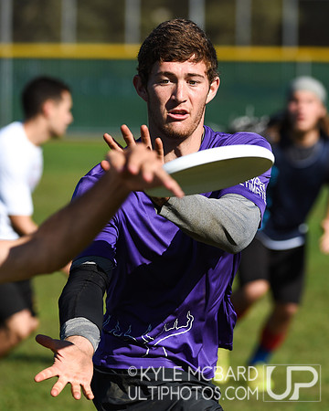 Grape Escape 11/15/14