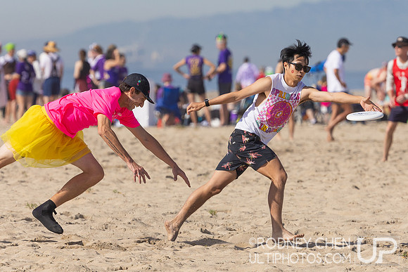 Lei Out 2026