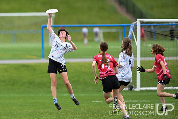 Alexandria vs Madison Girls Semi - VA HS States 2024