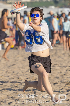 Lei Out 2026