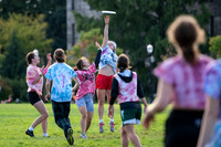 Beaver Brawl 2025