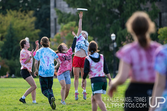 Beaver Brawl 2025