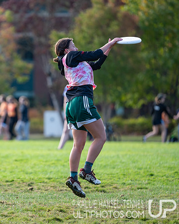 Beaver Brawl 2025