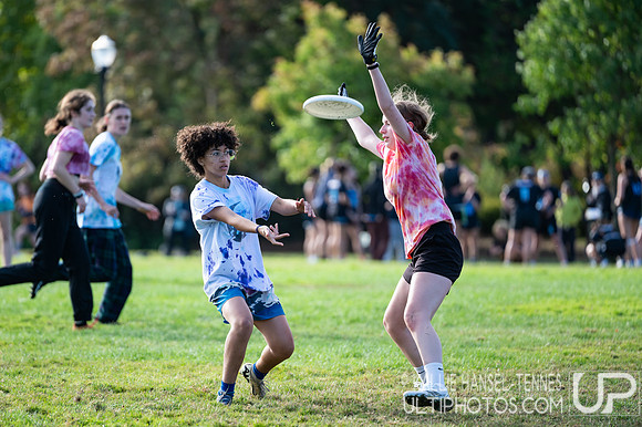 Beaver Brawl 2025