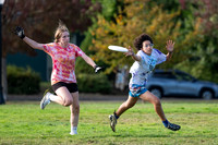 Beaver Brawl 2025