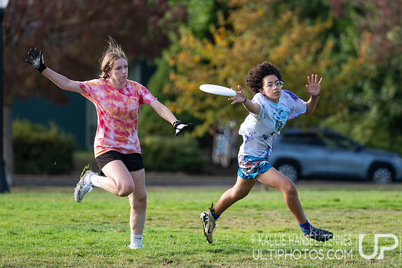 Beaver Brawl 2025