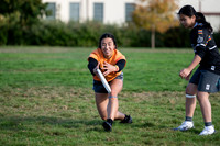 Beaver Brawl 2025