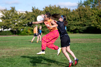 Beaver Brawl 2025