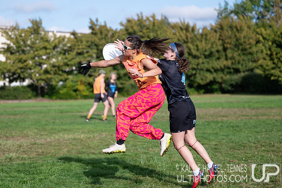 Beaver Brawl 2025