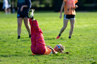 Beaver Brawl 2025