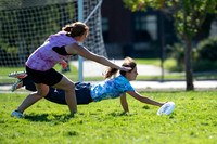 Beaver Brawl 2025