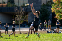 Beaver Brawl 2025