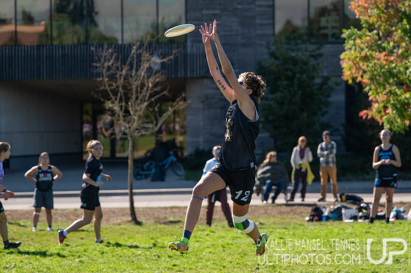 Beaver Brawl 2025