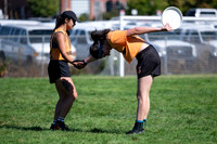 Beaver Brawl 2025
