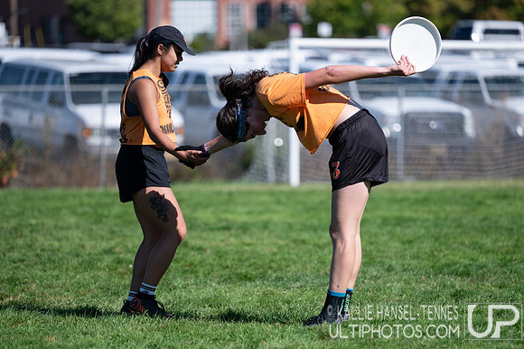 Beaver Brawl 2025