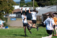 Beaver Brawl 2025