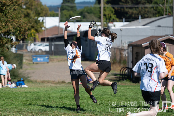 Beaver Brawl 2025