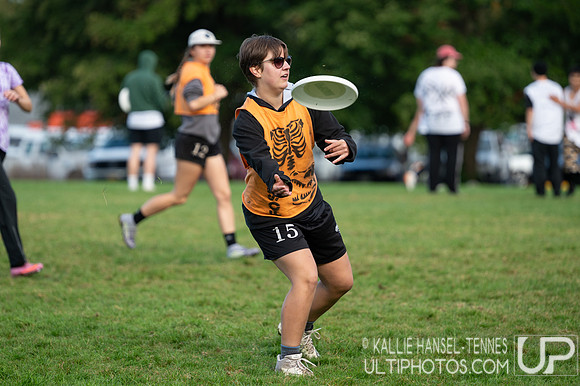 Beaver Brawl 2025